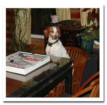 Pointer at table - with pizza box