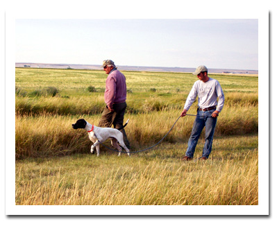 Jim and Jimmy working a Pointer on check cord